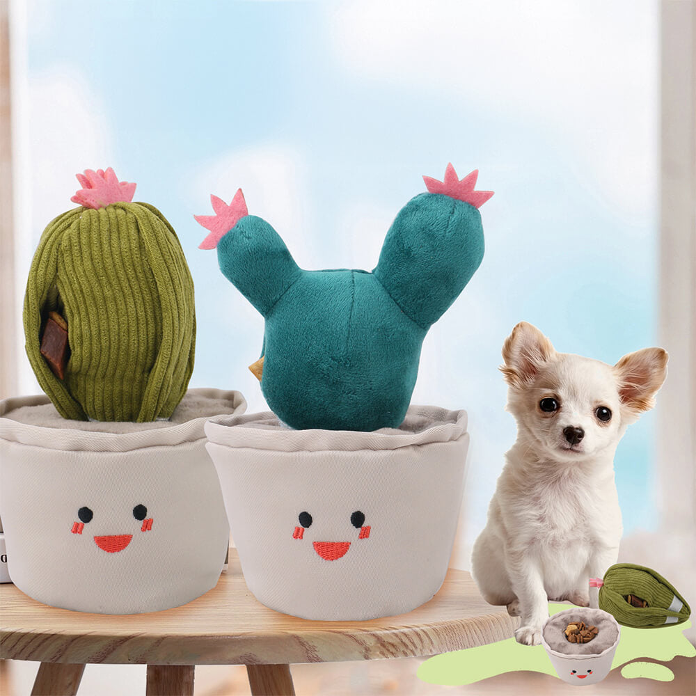 Cactus plush toy that makes noise for dogs, slow feeder, interactive toy.